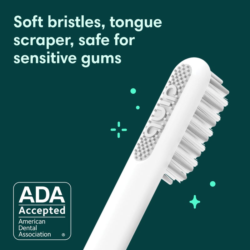 Quip Sonic Toothbrush for Adults - Timed Electric Toothbrush with Cover - Replaceable Brush Head, Soft Bristles, Plastic Handle, 3 Month Battery Life - Travel Toothbrush - Green - Image 3